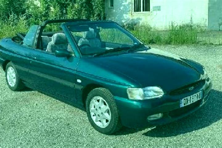 escort Te Poi