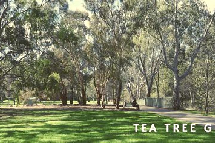 escort Tea Tree Gully