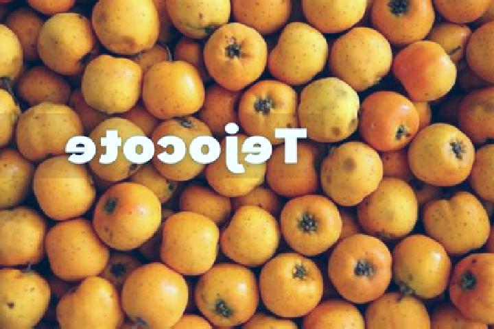 escort Tejocote de Calera