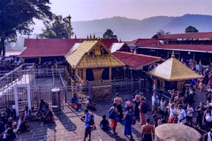 escort Temple View