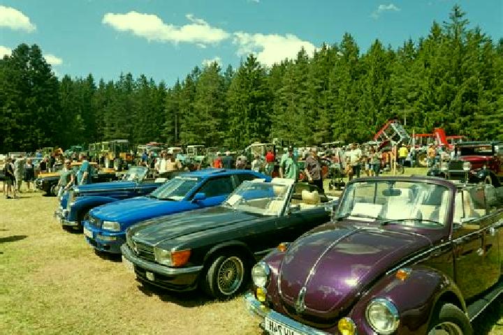 escort Tennenbronn
