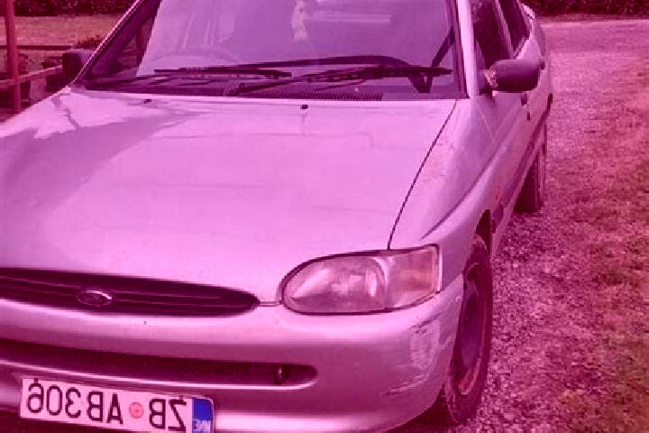 escort Teplaya Gora