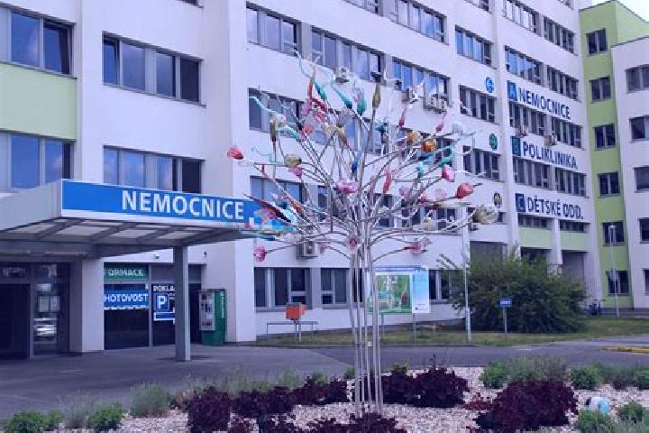 escort Teplice nad Metuji