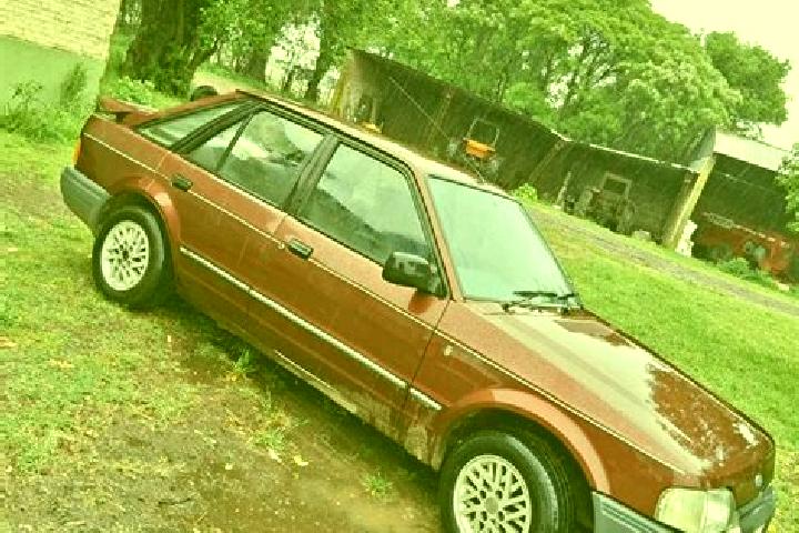 escort Terrero Venado