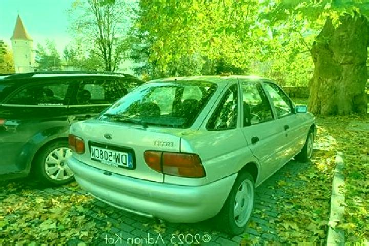 escort Tetcoiu