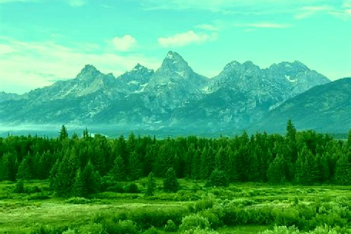escort Teton
