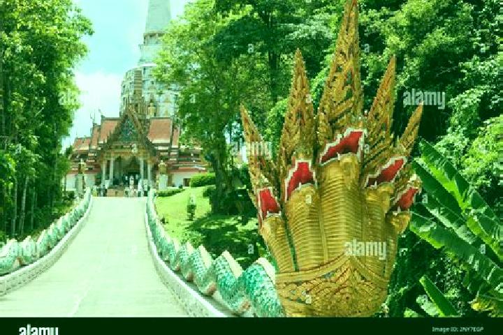 escort Thap Put