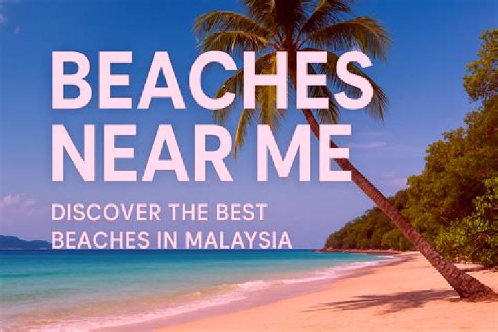 escort The Beaches