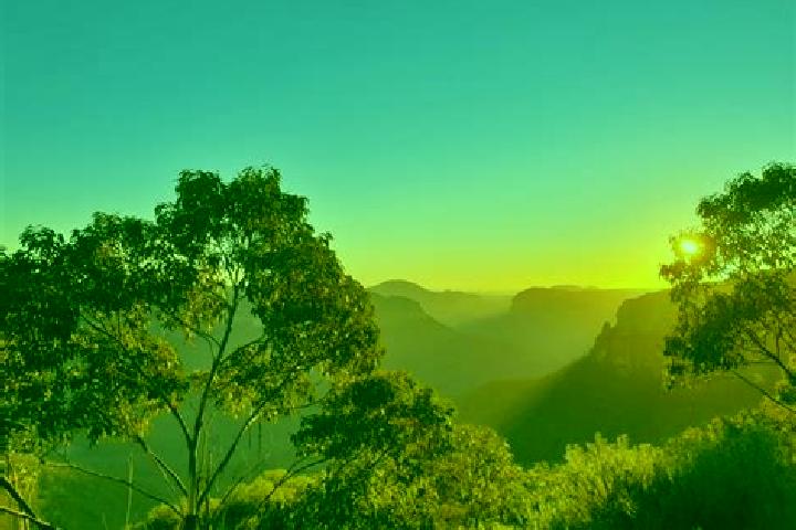 escort The Blue Mountains