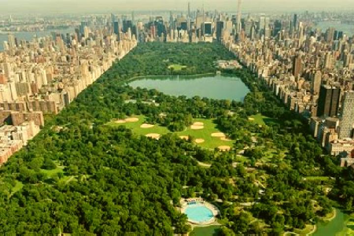 escort The Central Park