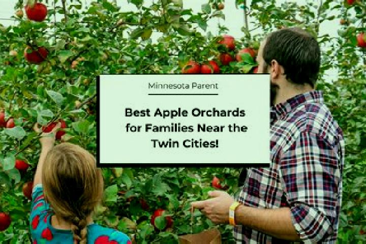 escort The Orchards