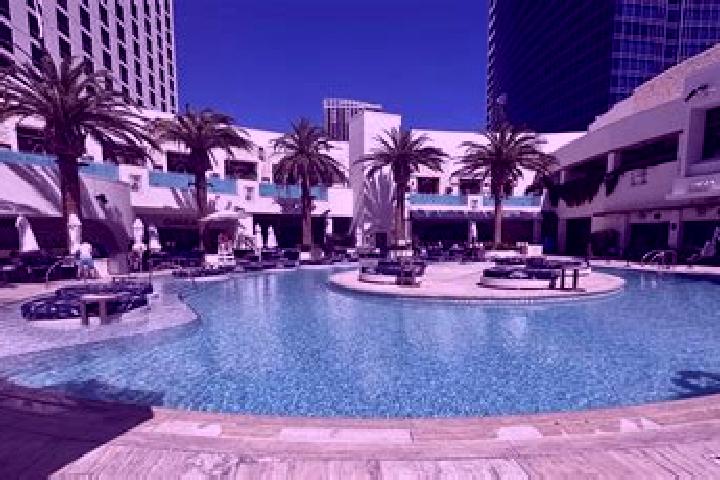 escort The Palms