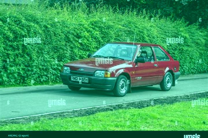 escort Themar