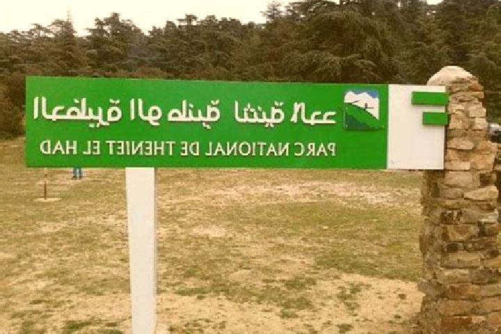 escort Theniet el Had