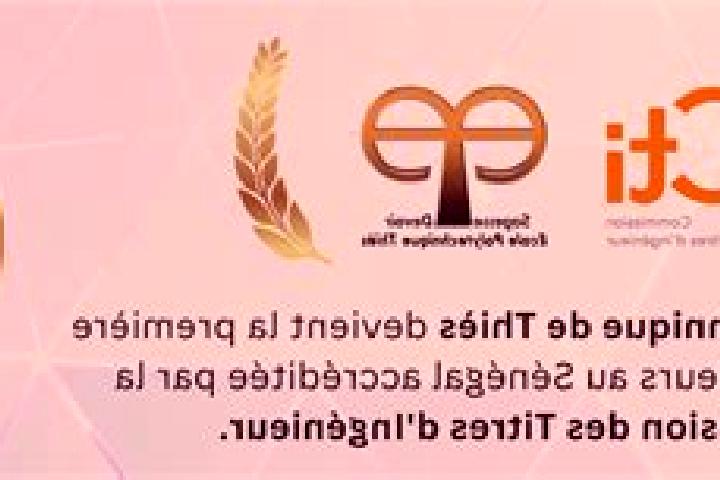 escort Thies Nones