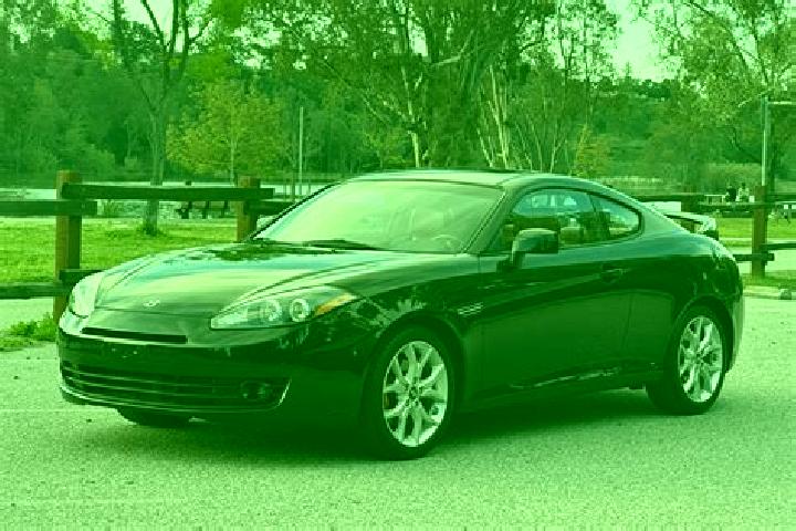 escort Tiburon