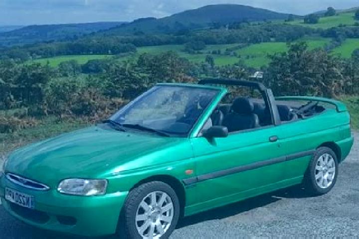 escort Tidbury Green