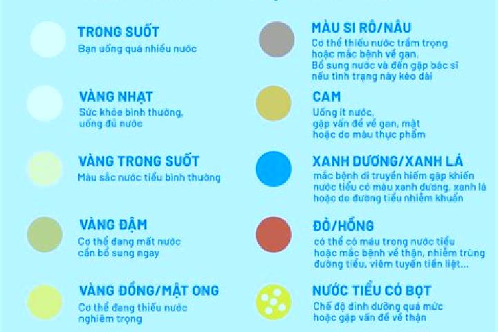escort Tieu Can