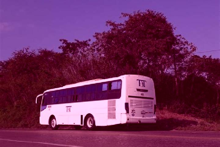 escort Tihuatlan