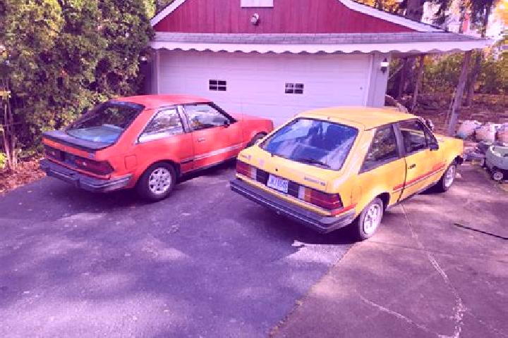 escort Timau