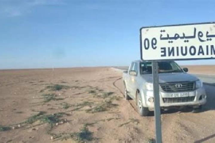 escort Timiaouine