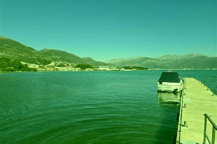 escort Tivat