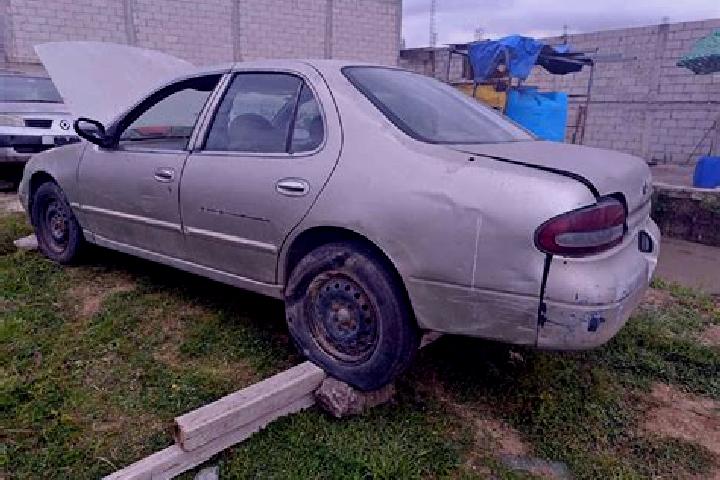 escort Tlaxcoapan