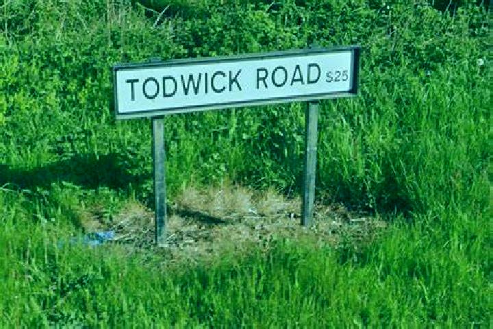 escort Todwick