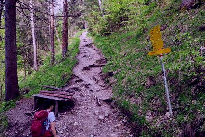 escort Toess (Kreis 4) / Steig