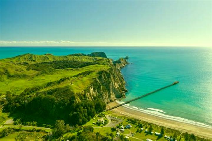 escort Tolaga Bay