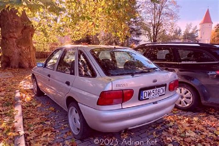 escort Tolochin