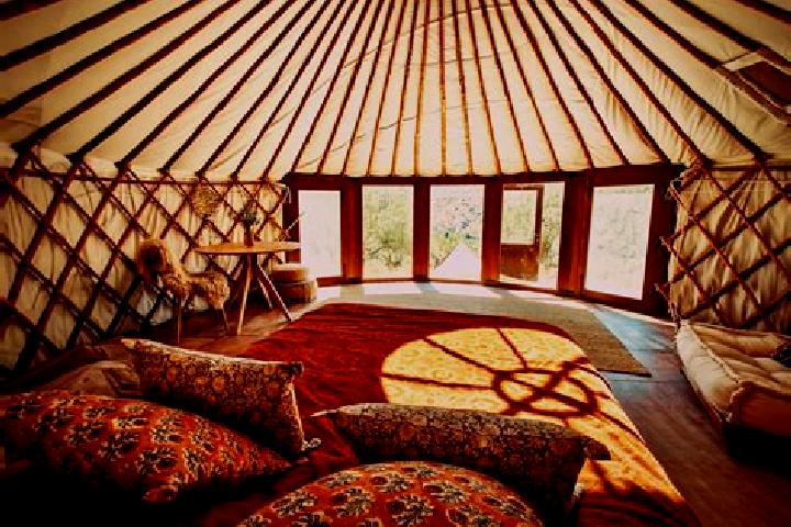 escort Tolstoy-Yurt