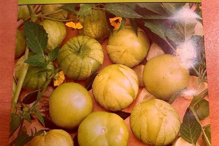 escort Tomatillo