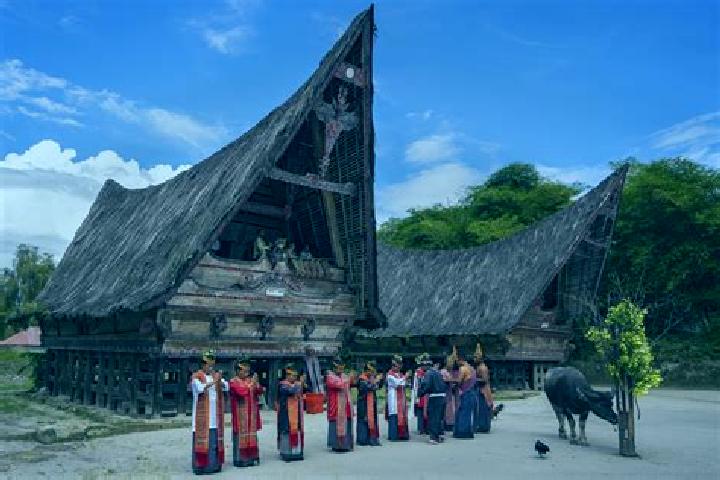 escort Tomok Bolon