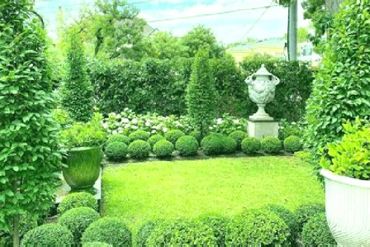 escort Toorak Gardens