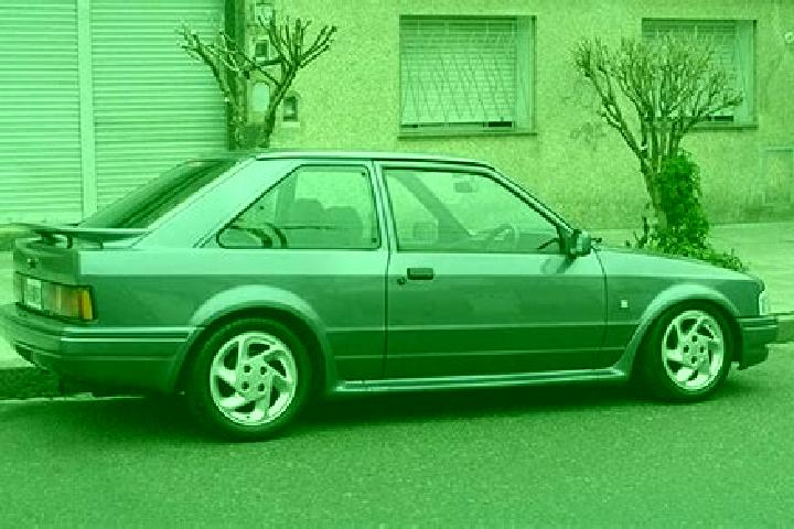 escort Topolovgrad
