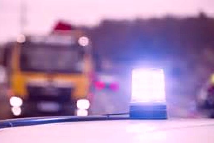 escort Toppenstedt