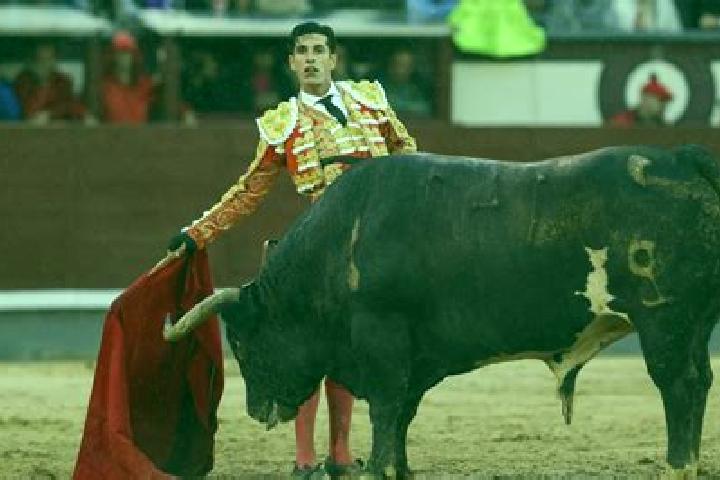 escort Toreo Bajo (El Toreo Bajo)