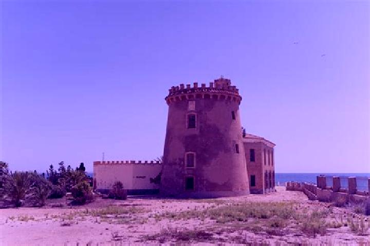 escort Torre de la Horadada