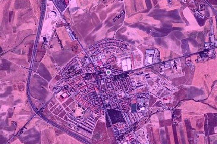 escort Torrejon de la Calzada