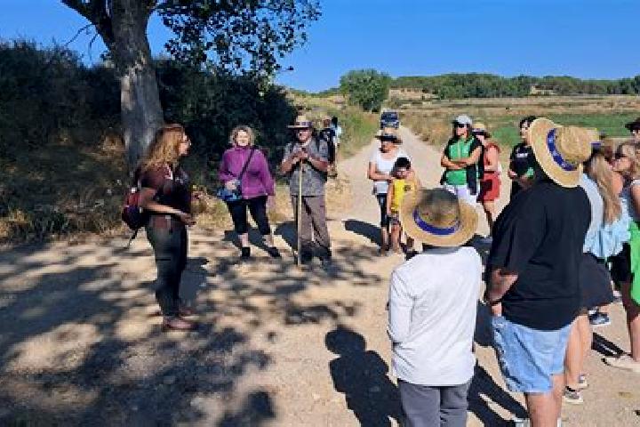 escort Torres de Barbues