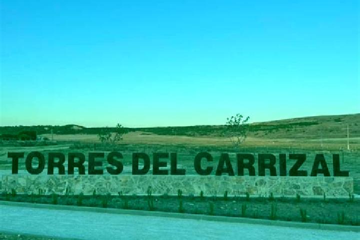 escort Torres del Carrizal