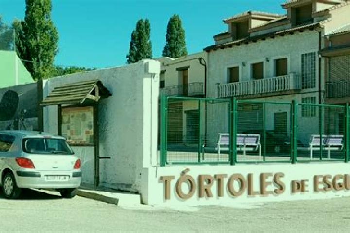 escort Tortoles