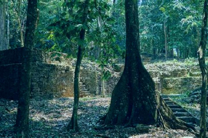 escort Totomoxtla (La Ceiba)