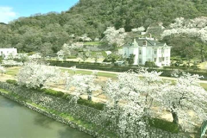 escort Tottori-shi