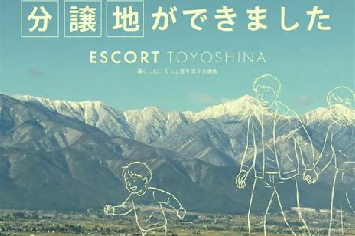 escort Toyoshina
