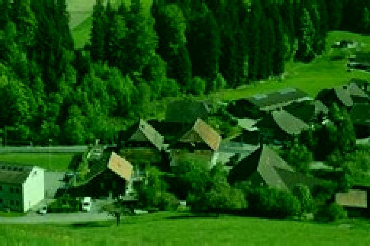 escort Trachselwald
