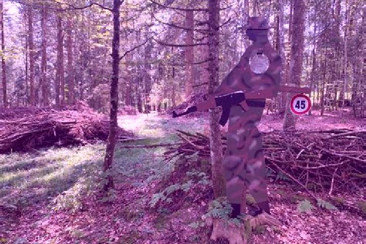 escort Trans-la-Foret
