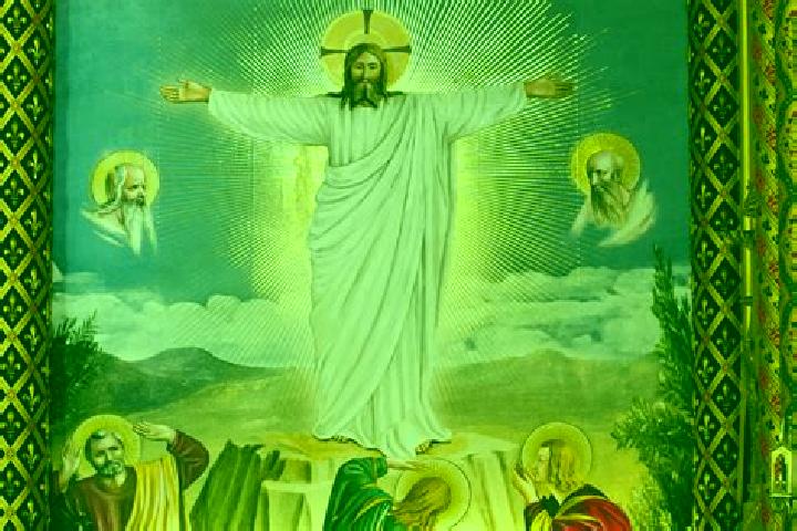 escort Transfiguracion
