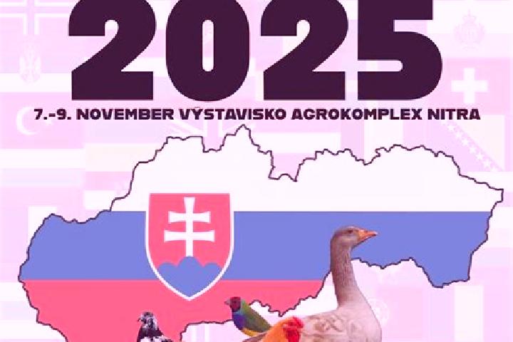 escort Trencianska Turna